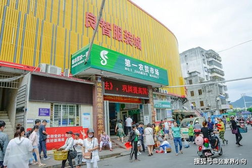 觅食鹿城 三亚必吃美食指南，海岸行者带你寻味琼岛